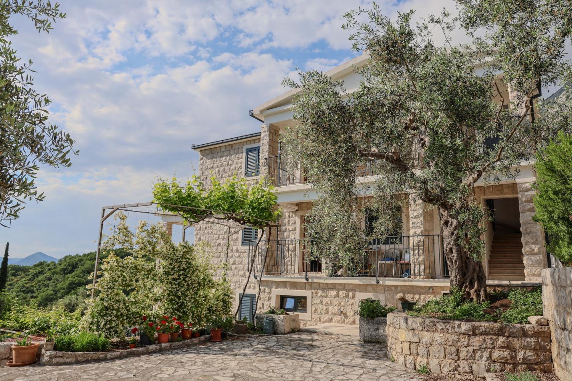 Residence Vukovic, Rezevici Exterior photo