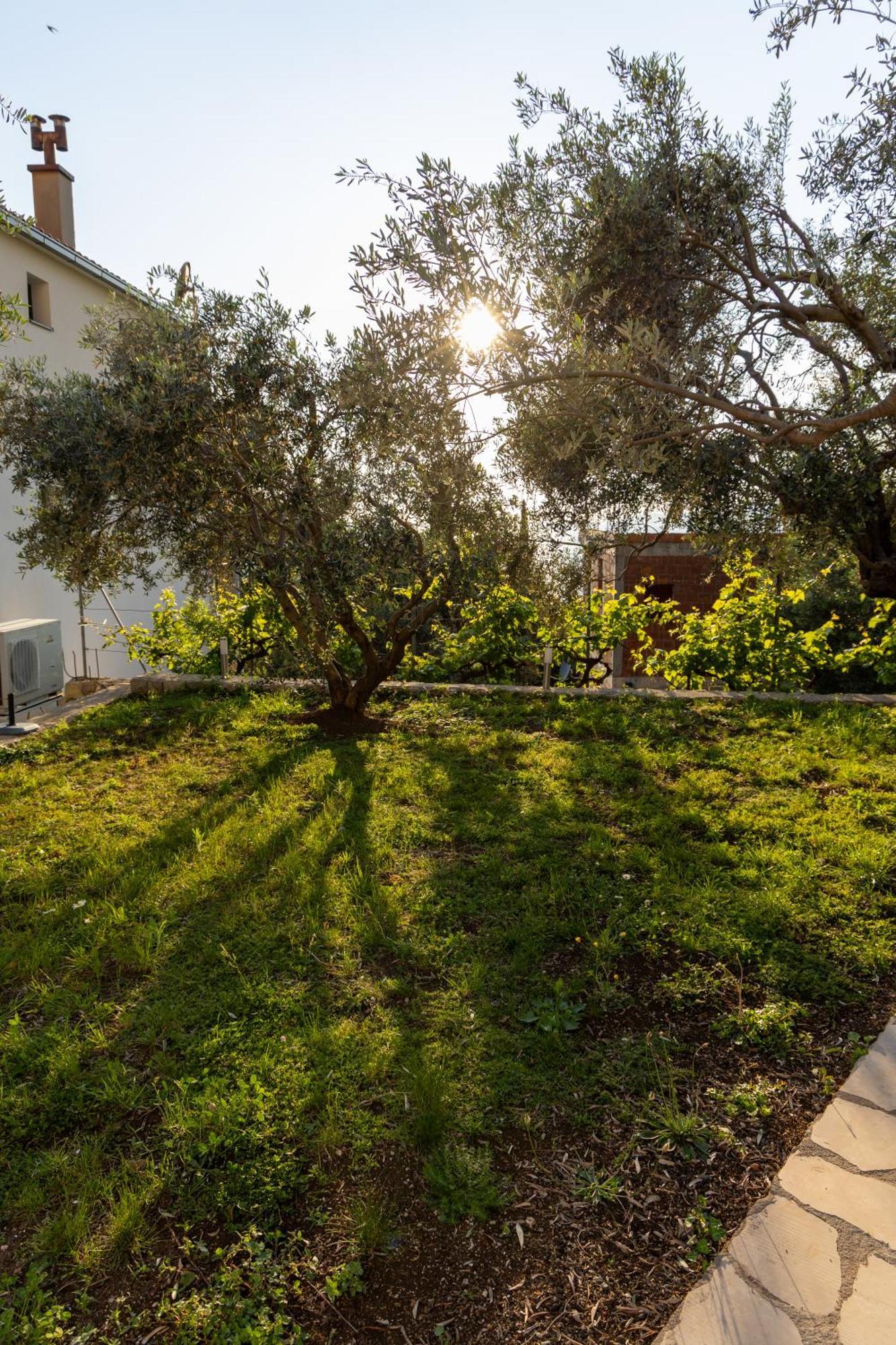 Residence Vukovic, Rezevici Exterior photo